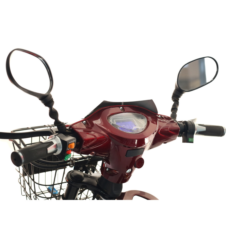 Scuter Electric Dunarea Scuter Electric Dunarea