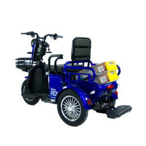 Triciclu Electric Sinoe