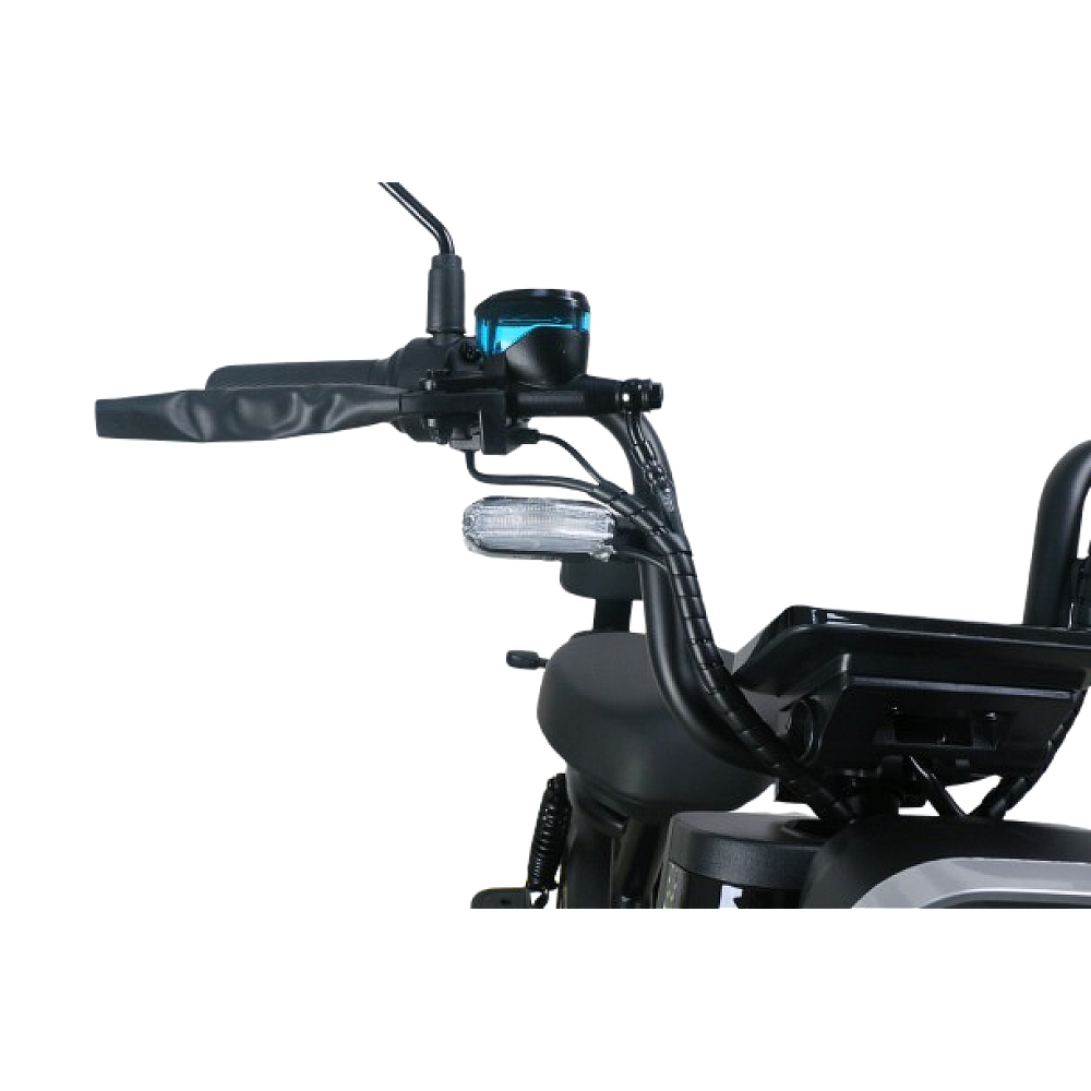 Scuter Electric RDB ROMA Scuter Electric RDB ROMA